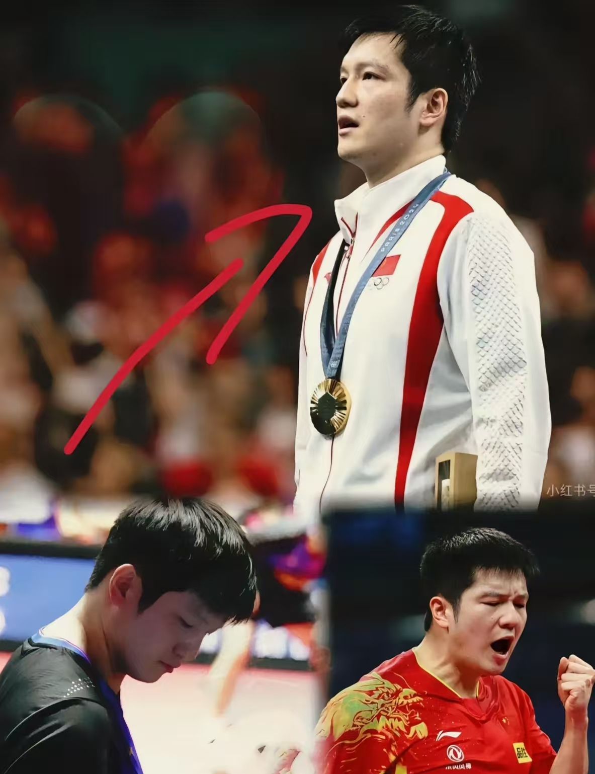 中国队力克法国队,樊振东关键制胜的简单介绍 中国队力克法国队,樊振东关键制胜的简单介绍