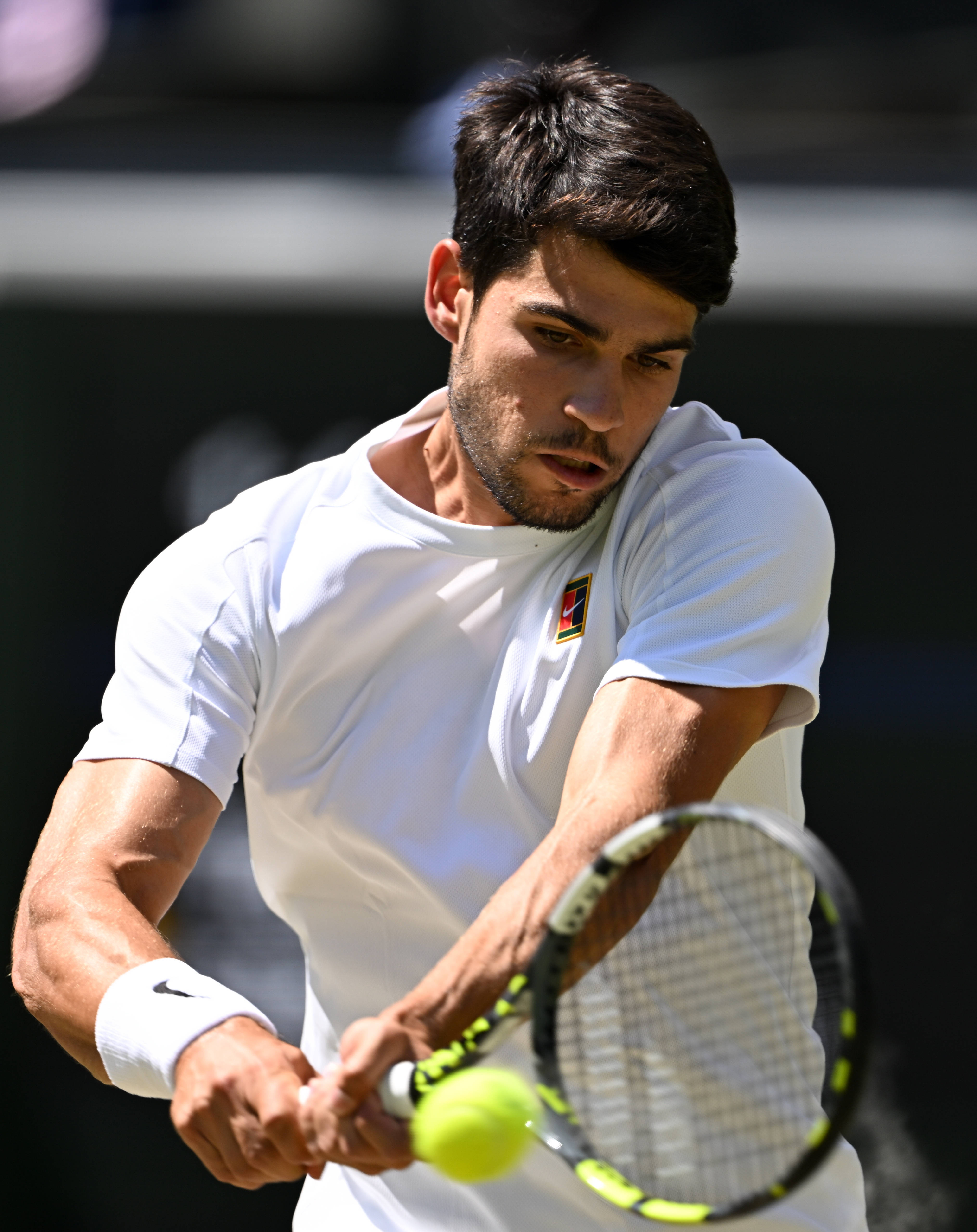 美网完胜温网，阿尔卡拉斯刷新纪录