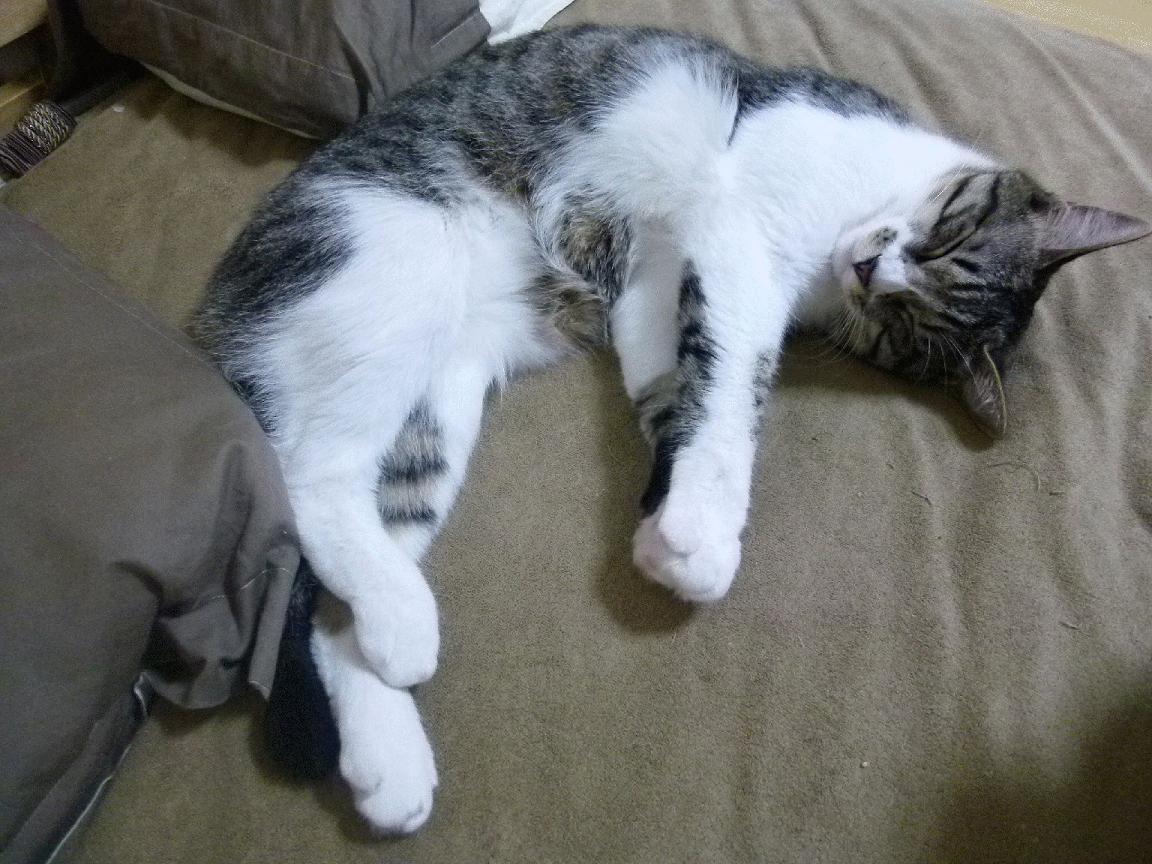 开云体育-关键先生库里，舞台越大越强！雷霆逆袭篮网，年轻风暴已至